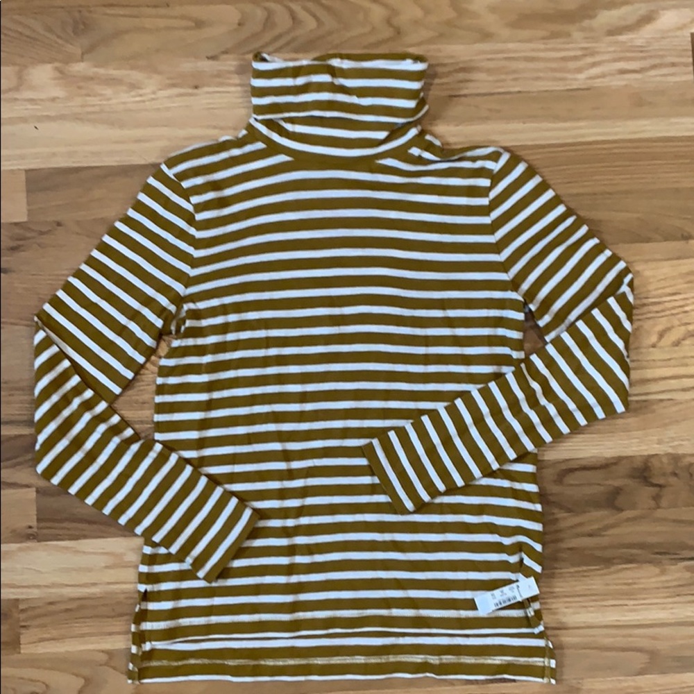 Madewell striped turtleneck